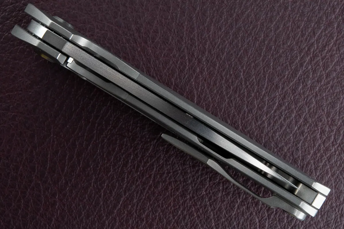 Spine view