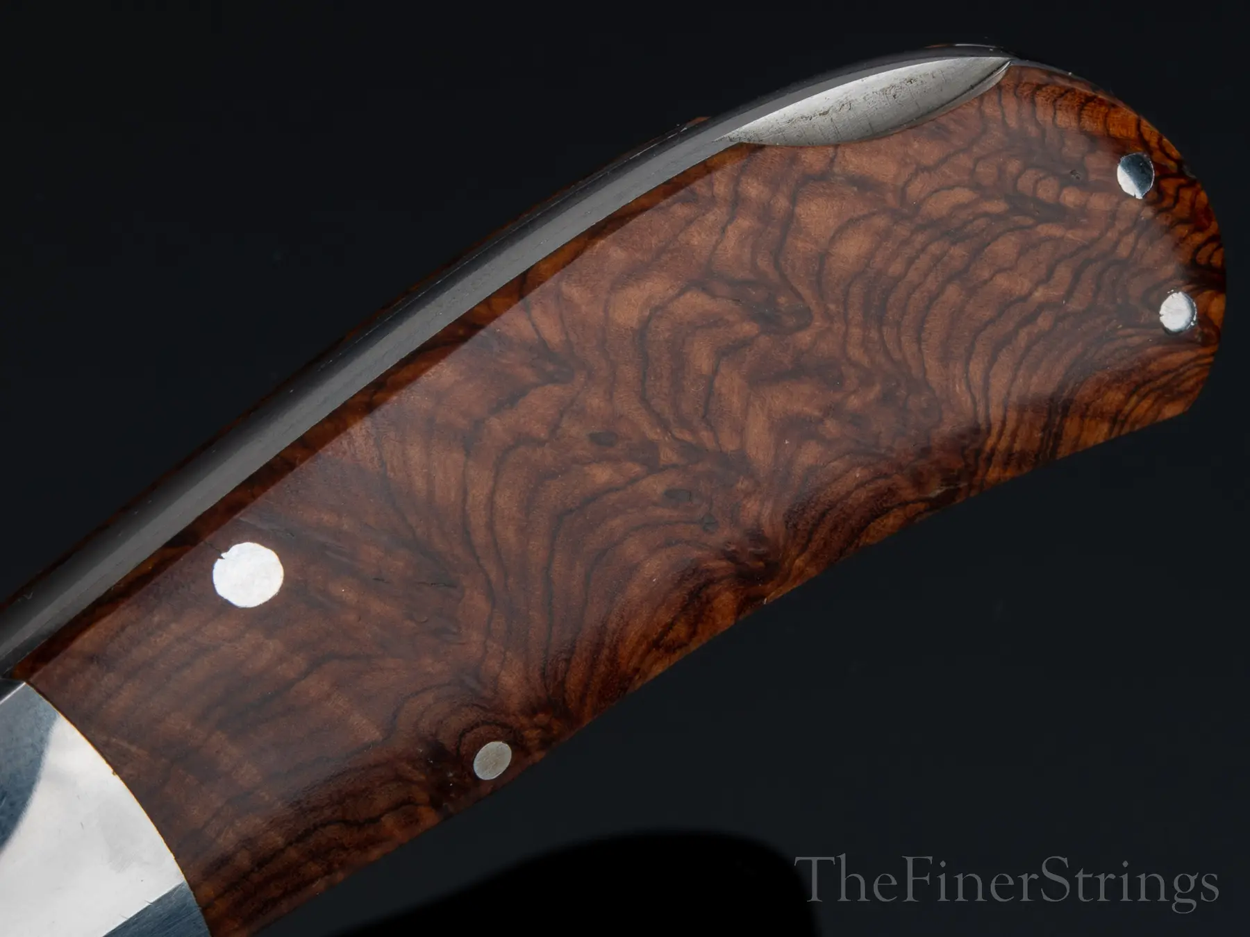 Hoel Snakewood detail