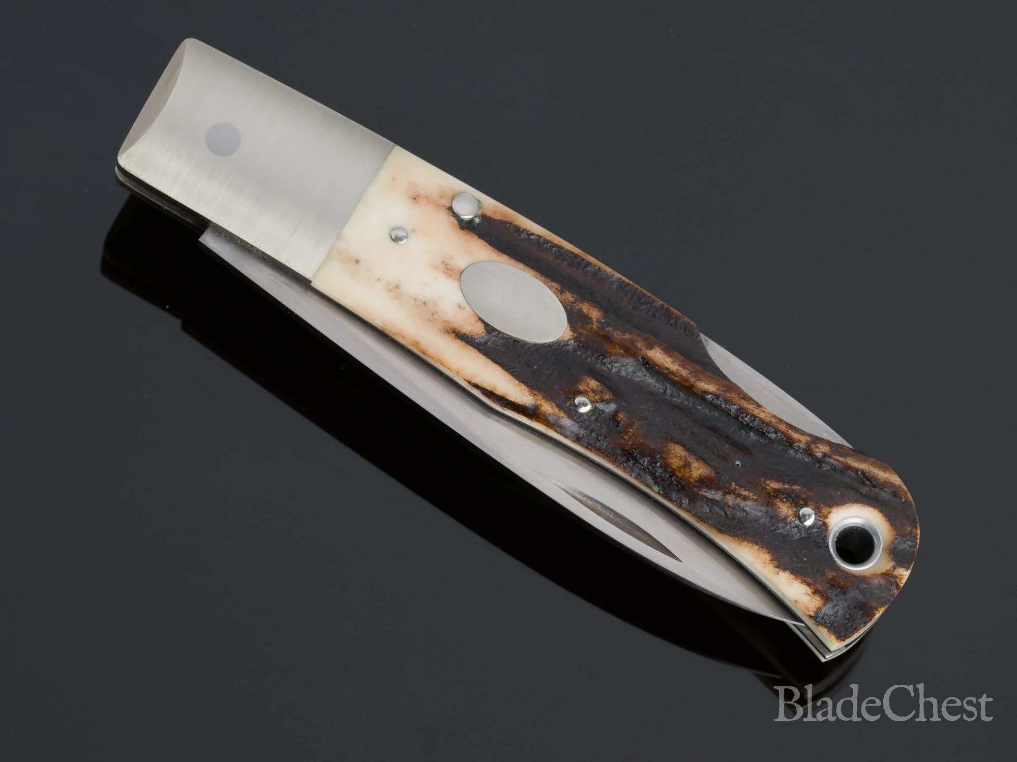 Jess Horn stag folder &mdash; closed, the escutcheon