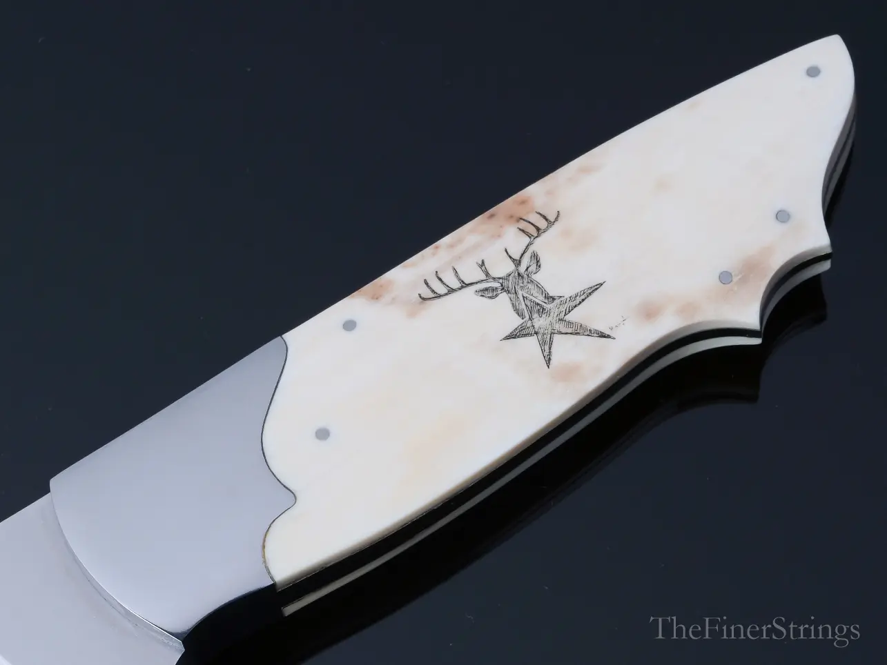 Scrimshaw detail