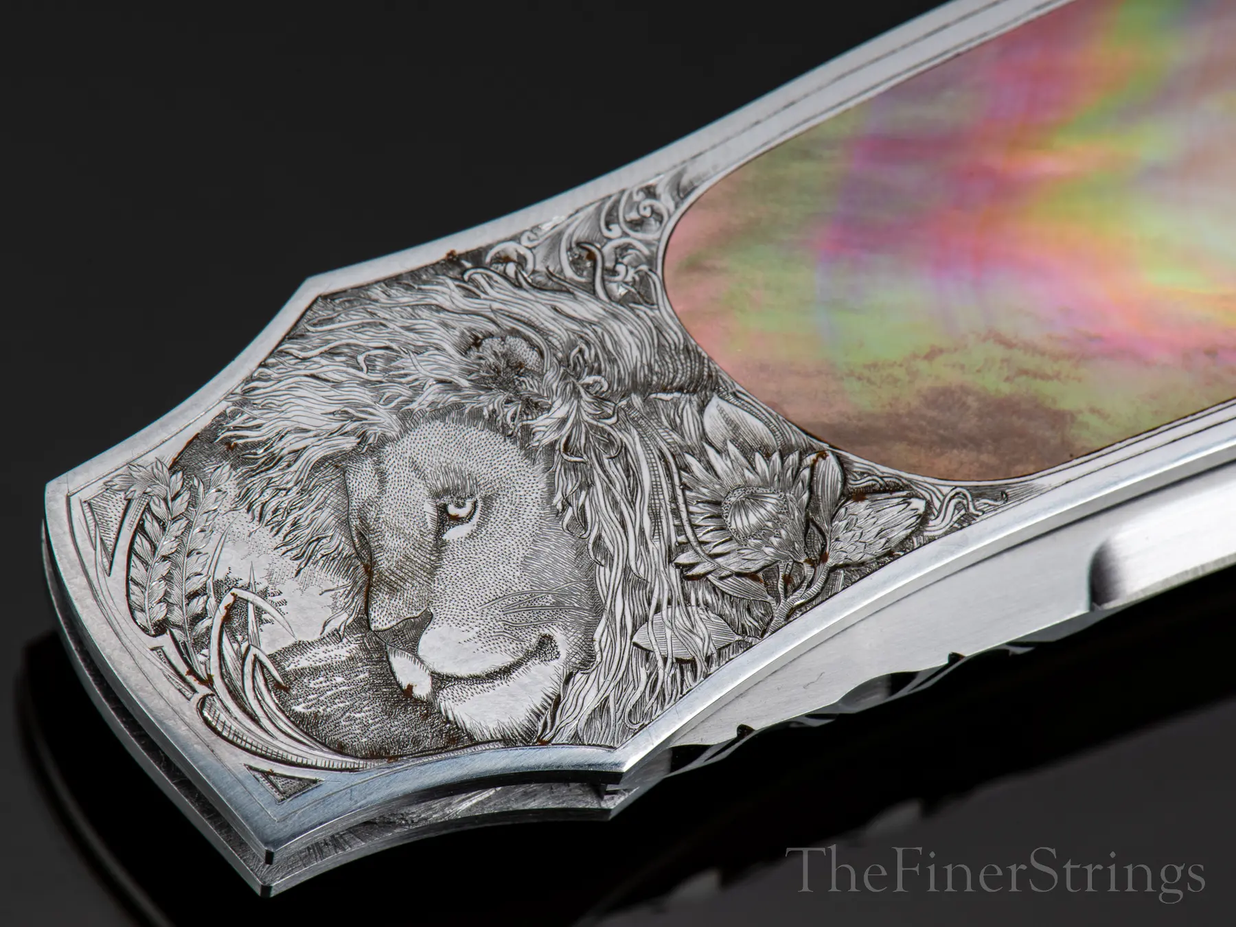 Chris Meyer engraving macro &mdash; lion