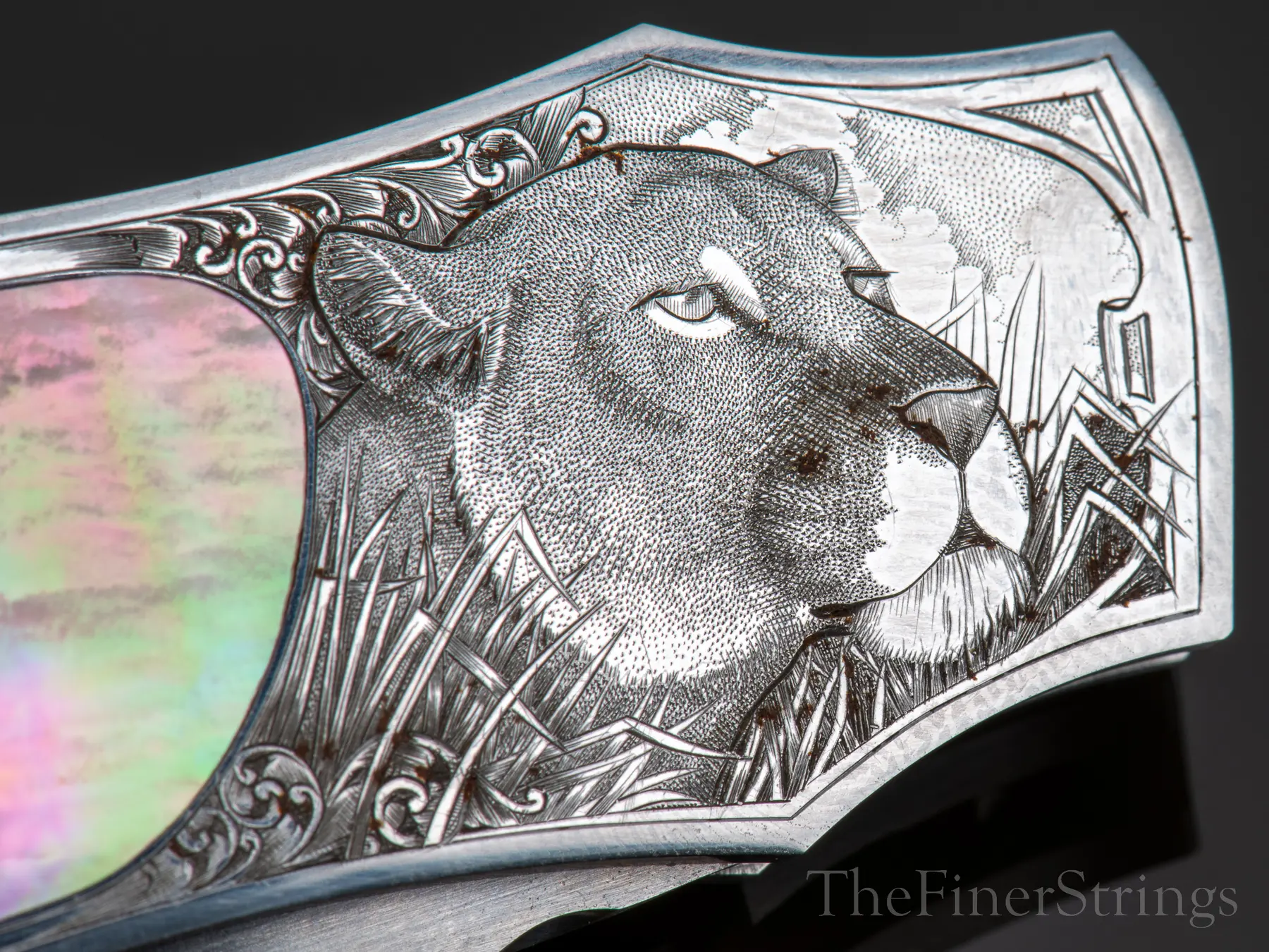 Chris Meyer engraving macro &mdash; lioness