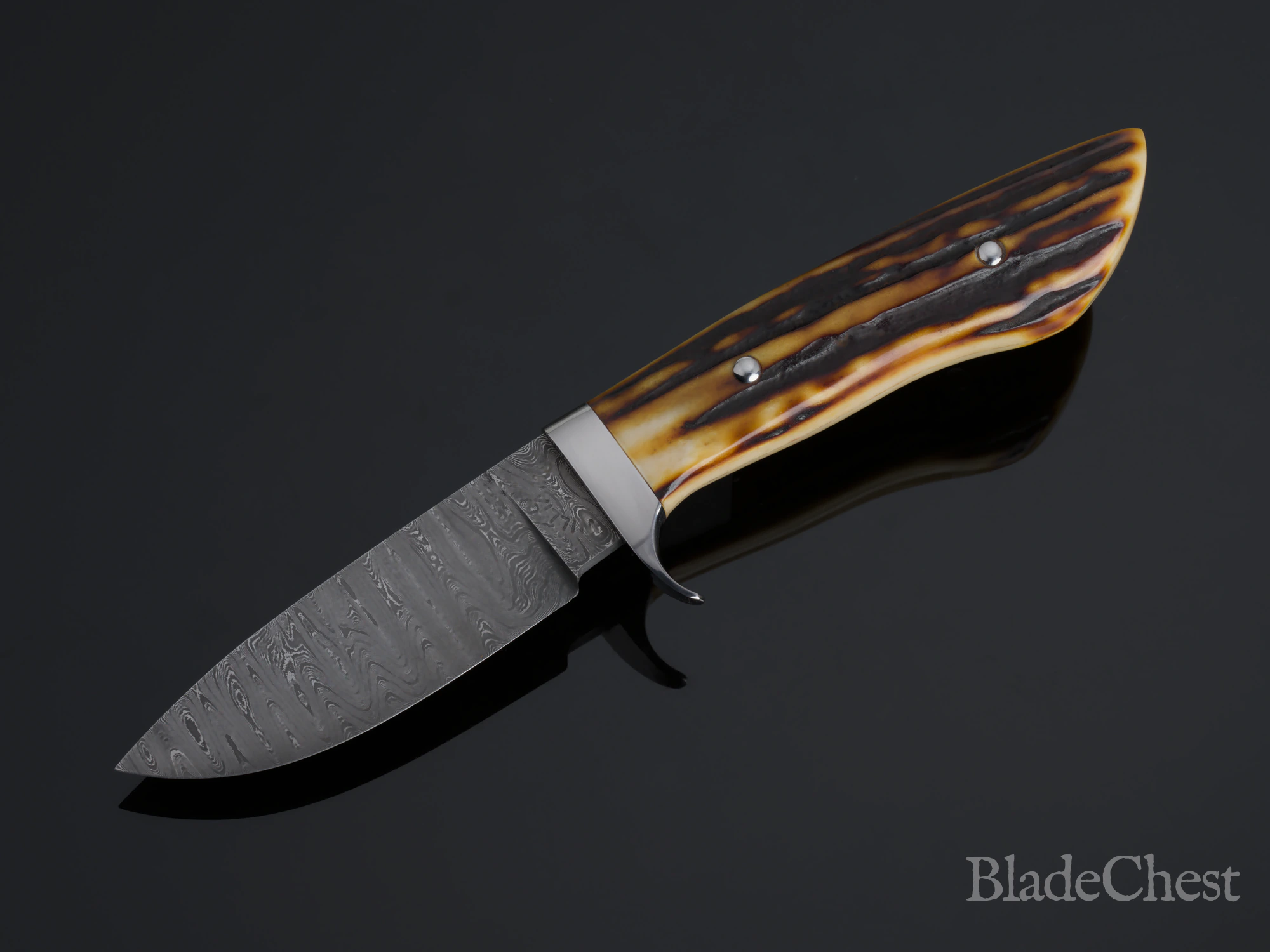 Mike Williams Drop Point Hunter &mdash; forged Damascus blade, stag handle, blade down-left