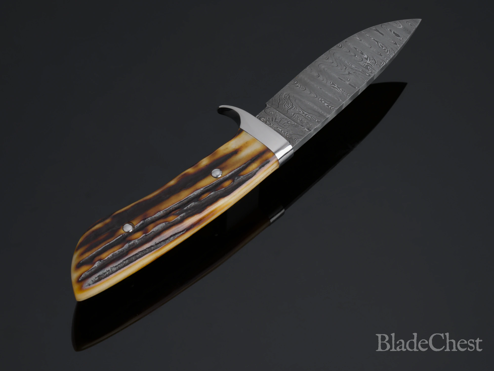 Mike Williams Drop Point Hunter &mdash; reverse face, full knife
